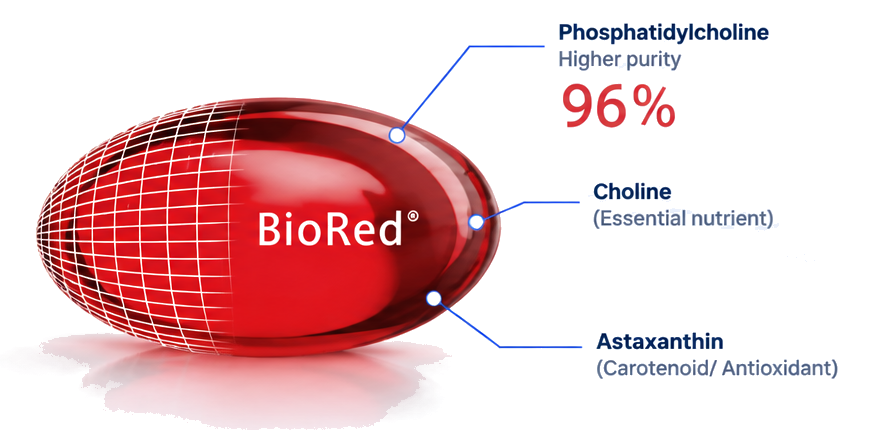 BioRed Krill Oil softgel diagram: phosphatidylcholine 96% higher purity, choline (essential nutrient) and astaxanthin (carotenoid, antioxidant)