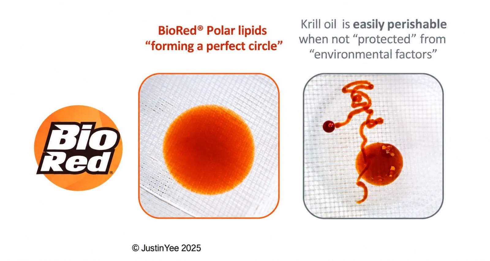 BioRed Krill Oil polar lipids forming a perfect circle, beside ordinary krill oil breaking up when not protected from environmental factors